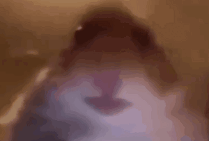 Starelessbuggy.gif