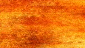 Wiki-background.jpeg